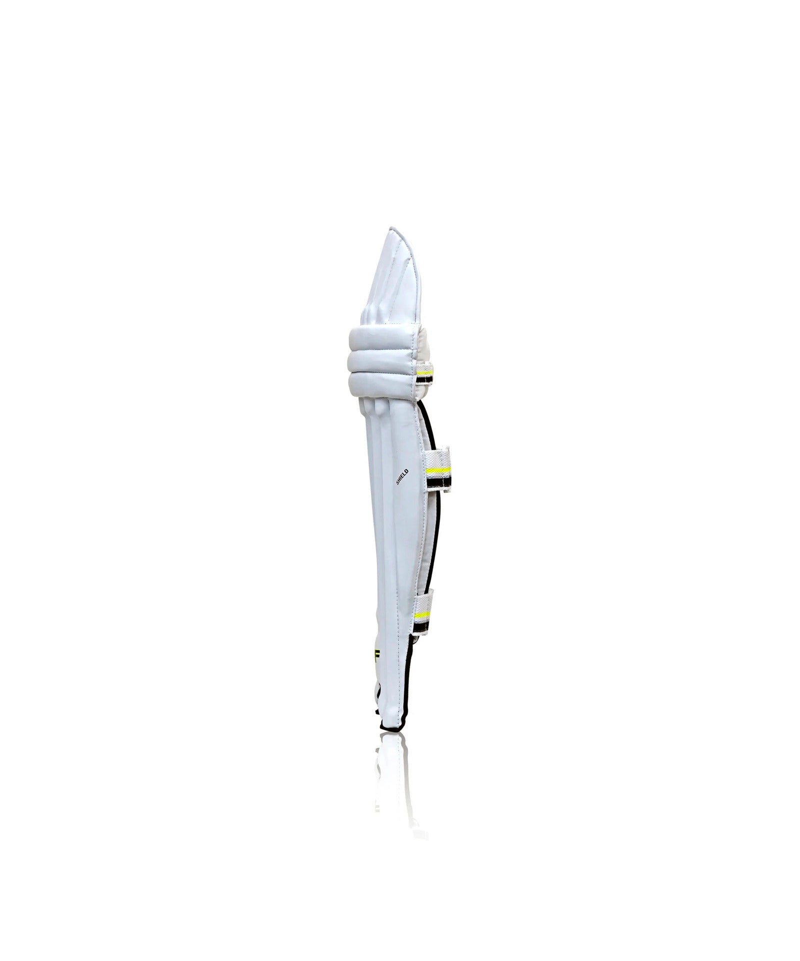 shield_0003_SIDE