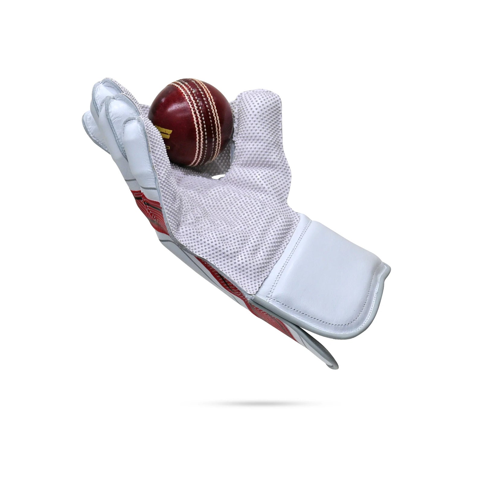 master_0008_classic pro
